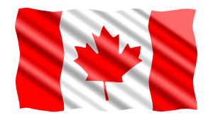 CANADA | Toronto - Soggiorno Linguistico all'estero individuale-international-2423852_960_720-300x169