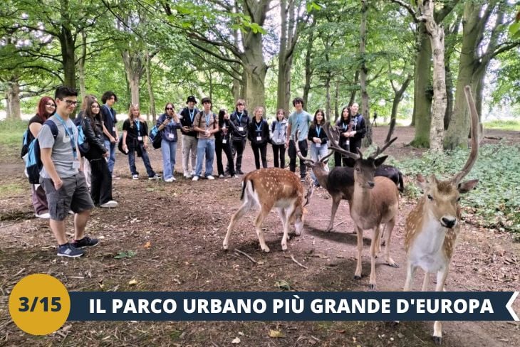 ESCURSIONE DI INTERA GIORNATA: Immergetevi nel PHOENIX PARK, l'oasi verde di 700 ettari nel cuore di Dublino! Tra maestose aree boschive e prati sconfinati, scopriremo la RESIDENZA PRESIDENZIALE e l'imponente WELLINGTON MONUMENT, il più alto obelisco d’Europa. Non mancherà l'incontro con gli abitanti più amati del parco: LA COLONIA DI DAINI che vaga liberamente. Un'esperienza unica in un parco due volte più grande di Central Park!