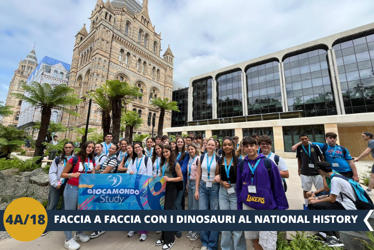 ESCURSIONE DI INTERA GIORNATA: Al Natural History Museum, ci aspetta un viaggio nel tempo tra i segreti della Terra e dello spazio! Passeggeremo sotto Hope, l’imponente scheletro di balenottera azzurra, e ci perderemo tra i fossili di dinosauri che dominano la galleria. Dalla geologia ai meteoriti, ogni sala di questo museo è un portale verso un mondo affascinante, perfetto per scoprire l'epica storia del nostro pianeta.