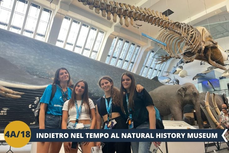 ESCRUSIONE DI INTERA GIORNATA: Pronti a esplorare il passato e il presente di un pianeta straordinario? Al Natural History Museum, ci immergeremo tra fossili di dinosauri, minerali scintillanti e l'imponente Hope, la balenottera azzurra che domina la Hintze Hall. Questo tempio della scienza e della natura è un viaggio affascinante tra terra, cielo e spazio, ideale per lasciarsi sorprendere ad ogni angolo.