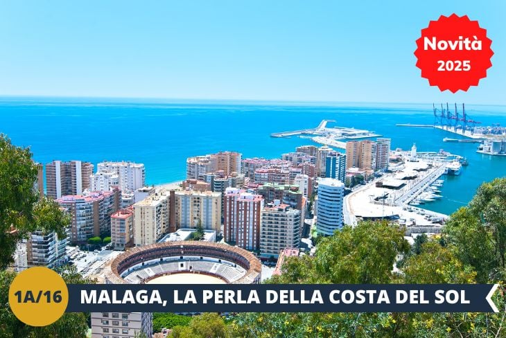 Lasciatevi incantare dal cuore pulsante di Malaga con un affascinante tour del centro storico! Vi guideremo tra i vicoli più pittoreschi della città, dove l'eleganza dell’architettura tradizionale andalusa si mescola con l’energia vibrante dello spirito mediterraneo.