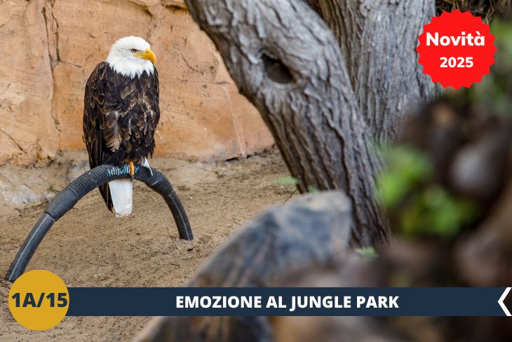 ESCURSIONE DI INTERA GIORNATA: Prepariamoci a immergerci nella natura al Jungle Park (INGRESSO INCLUSO), uno dei parchi più emozionanti di Tenerife! Con i suoi sentieri immersi nella vegetazione tropicale, questo parco è la casa di animali esotici provenienti da tutto il mondo. Potremo osservare da vicino specie rare, godere di spettacoli mozzafiato e vivere un’avventura indimenticabile tra ponti sospesi, laghi e cascate. Un’esperienza perfetta per esplorare la natura in tutta la sua bellezza e meraviglia!