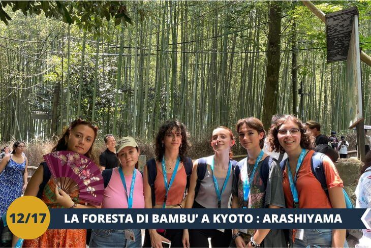 Arashiyama Bamboo Forest: Durante questa escursione di mezza giornata, scopriremo la magia del quartiere Arashiyama di Kyoto, famoso per la sua straordinaria foresta di bambù. Passeggeremo tra i maestosi fusti che si ergono verso il cielo, circondati da un’atmosfera unica e rilassante. Il nostro percorso ci porterà anche al celebre ponte Togetsukyo, simbolo di Arashiyama, dove la bellezza naturale si fonde con il fascino della tradizione giapponese. Un’esperienza indimenticabile per immergersi nella serenità e nel fascino di Kyoto! (escursione mezza giornata)