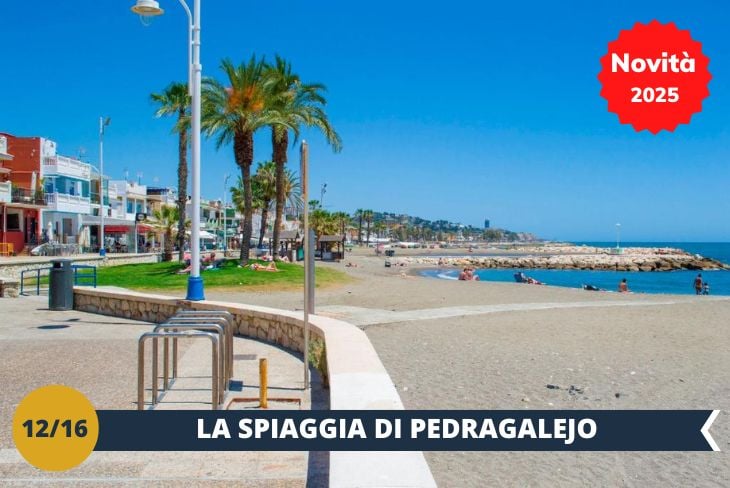 Scoprite il fascino senza tempo di Pedregalejo, il pittoresco quartiere dei pescatori che oggi è una delle zone più affascinanti di Malaga! Le sue spiagge sabbiose, intervallate da piccole calette, vi offriranno un'atmosfera di totale relax mediterraneo. Preparatevi a un pomeriggio all'insegna del mare, del sole e del divertimento in questo angolo di paradiso! (escursione di mezza giornata)