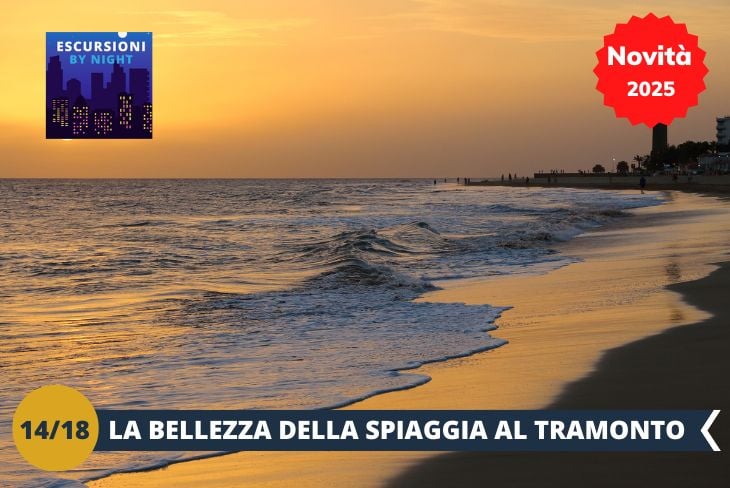 BY NIGHT: Preparatevi a vivere un momento magico sulla spiaggia di Las Canteras, quando il sole si tuffa lentamente nell’oceano tingendo il cielo di sfumature spettacolari. Questo angolo di paradiso, già famoso per la sua bellezza naturale, diventa ancora più incantevole al tramonto. Potremo passeggiare lungo la riva, rilassarci sulla sabbia e catturare immagini indimenticabili di questo spettacolo naturale. Un’esperienza unica per concludere la giornata con serenità e meraviglia!