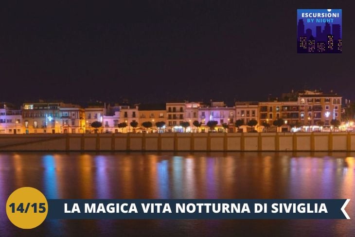 SEVILLA BY NIGHT: quando cala il sole, la magia della città si rivela in tutto il suo splendore! Un suggestivo tour serale vi farà scoprire una Siviglia inedita, dove monumenti illuminati e atmosfere suggestive creano un'esperienza indimenticabile!