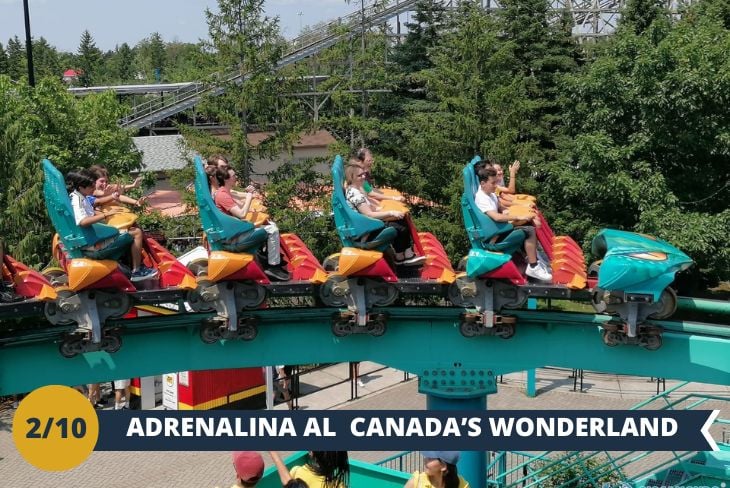 ESCURSIONE DI INTERA GIORNATA: CANADA’S WONDERLAND! Prepariamoci a un'esplosione di emozioni al Canada’s Wonderland (INGRESSO INCLUSO), il parco divertimenti più grande e avvincente del Canada! Con oltre 200 attrazioni, spettacoli e giochi, questo luogo è una vera oasi di adrenalina e divertimento per tutti. Sfrecceremo sulle montagne russe più iconiche, come il Leviathan e il Behemoth, pronte a regalarci curve mozzafiato, loop vertiginosi e una scarica di pura adrenalina. Tra avventure emozionanti, giochi d'acqua e attrazioni per tutte le età, sarà una giornata che non dimenticheremo mai. Chi è pronto a salire a bordo?