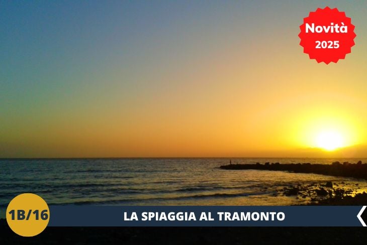 Dopo una giornata immersi nel verde, ci sposteremo su una delle incantevoli spiagge di Tenerife per goderci un tramonto indimenticabile. Il sole che si tuffa nell’oceano crea un’atmosfera magica, perfetta per rilassarsi, passeggiare lungo la riva o semplicemente ammirare i colori spettacolari del cielo. Un momento unico per concludere la giornata in armonia con la bellezza dell’isola!