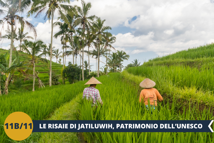 ESCURSIONE DI INTERA GIORNATA Non perderti il giro in bicicletta tra le risaie di Jatiluwih, patrimonio mondiale dell'UNESCO per la sua conservazione delle tradizionali tecniche di coltivazione biologica.