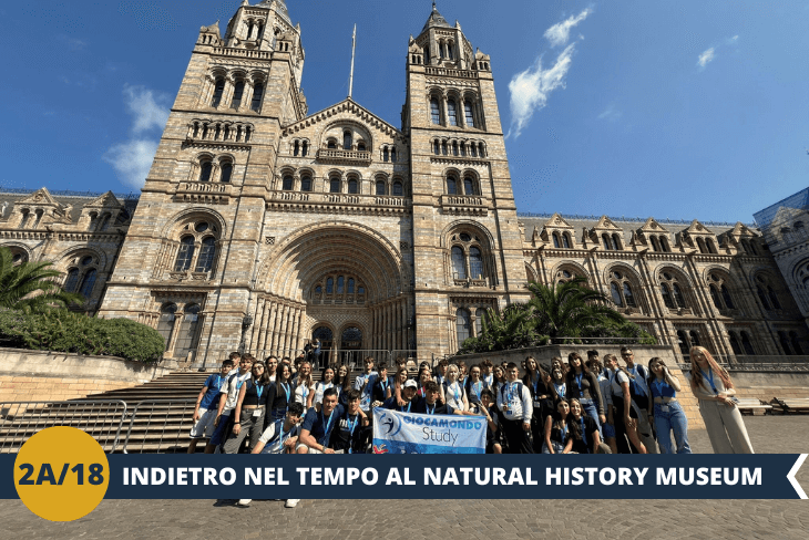 ESCURSIONE DI INTERA GIORNATA: Al Natural History Museum, ci aspetta un viaggio nel tempo tra i segreti della Terra e dello spazio! Passeggeremo sotto Hope, l’imponente scheletro di balenottera azzurra, e ci perderemo tra i fossili di dinosauri che dominano la galleria. Dalla geologia ai meteoriti, ogni sala di questo museo è un portale verso un mondo affascinante, perfetto per scoprire l'epica storia del nostro pianeta.