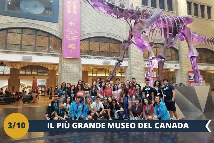 Prepariamoci a esplorare il Royal Ontario Museum (INGRESSO INCLUSO), il museo più grande del Canada e un vero gioiello nel cuore di Toronto! Questo straordinario tempio dell'arte, della cultura e della storia ci porterà in un viaggio unico attraverso millenni di civiltà e culture da tutto il mondo. Passeggeremo tra le sue gallerie ricche di tesori: dalle antiche civiltà egizie, greche e romane all'arte asiatica, passando per le opere contemporanee e le esposizioni sulle civiltà indigene del Canada. Non solo le collezioni, ma anche l'iconica struttura cattura l’immaginazione: il celebre cristallo di vetro e acciaio, che si fonde con l’architettura classica, crea un mix perfetto tra passato e modernità. Ogni angolo del museo è un invito alla scoperta e alla meraviglia. Siete pronti a vivere un pomeriggio all’insegna dell’arte e della storia? (escursione di mezza giornata)