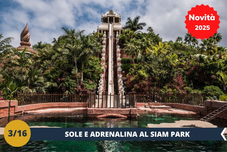 ESCURSIONE DI INTERA GIORNATA: Benvenuti a Siam Park (INGRESSO INCLUSO), il parco acquatico numero uno al mondo! Questo incredibile parco, ispirato alla cultura thailandese, ci regalerà un mix di adrenalina e relax in un ambiente esotico e mozzafiato. Dalla torre del potere, un emozionante scivolo verticale, al tranquillo fiume Mai Thai dove rilassarsi tra le palme, ogni angolo del parco è un’esperienza indimenticabile. Tra onde gigantesche, piscine paradisiache e attrazioni adrenaliniche, Siam Park saprà stupirci e farci vivere una giornata di puro divertimento e spensieratezza. Un’avventura perfetta per chi ama l’acqua e le emozioni forti, ma anche per chi cerca relax e un’atmosfera unica!