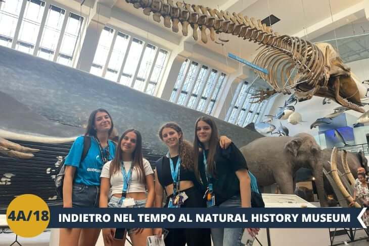 ESCUSIONE DI INTERA GIORNATA: Pronti a esplorare il passato e il presente di un pianeta straordinario? Al Natural History Museum, ci immergeremo tra fossili di dinosauri, minerali scintillanti e l'imponente Hope, la balenottera azzurra che domina la Hintze Hall. Questo tempio della scienza e della natura è un viaggio affascinante tra terra, cielo e spazio, ideale per lasciarsi sorprendere ad ogni angolo.