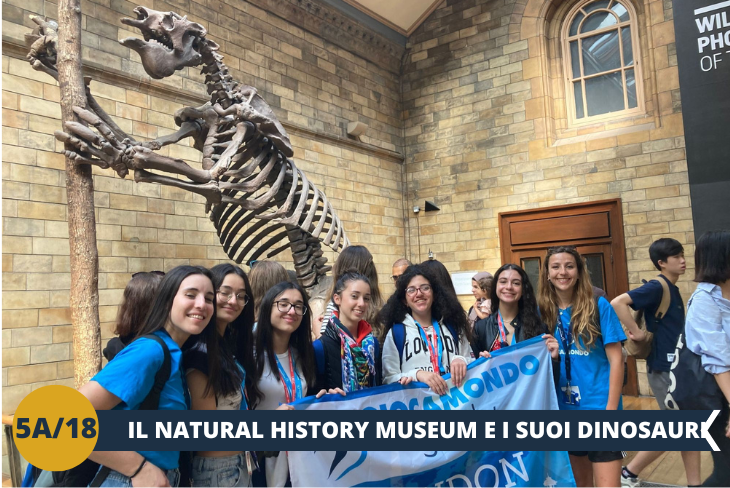 ESCURSIONE DI INTERA GIORNATA: Ci immergeremo in un’affascinante avventura al Natural History Museum, uno dei musei più iconici di Londra. Esploreremo gallerie che raccontano 4,5 miliardi di anni di storia terrestre attraverso una collezione straordinaria di oltre 80 milioni di reperti. Dallo scheletro di Hope, la maestosa balenottera azzurra che domina la Hintze Hall, ai fossili spettacolari della galleria dei Dinosauri, sarà un viaggio incredibile tra passato, presente e futuro del nostro pianeta.