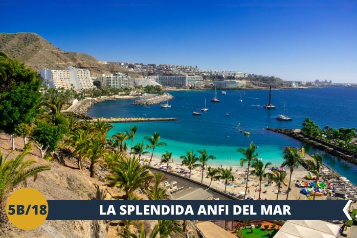 La giornata prosegue ad Anfi del Mar, una località balneare esclusiva che si distingue per le sue spiagge di sabbia bianca e le acque cristalline. Questo angolo di paradiso è perfetto per rilassarsi al sole, fare un tuffo nell’Atlantico o semplicemente lasciarsi incantare dalla sua atmosfera elegante e accogliente. Con il suo porto turistico e l’ambiente da sogno, Anfi del Mar sarà il tocco finale perfetto di questa giornata speciale.