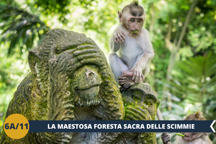 Visita all’affascinante Foresta delle Scimmie, un santuario naturale di circa 12,5 ettari famoso per ospitare oltre 1200 macachi, considerati animali sacri, simbolo di protezione. (Escursione di mezza giornata)