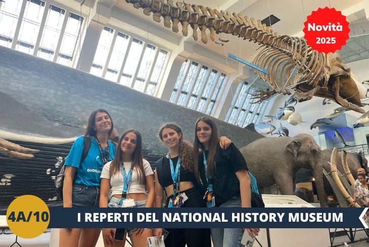 NOVITA’ 2025! ESCURSIONE DI INTERA GIORNATA: Iniziamo la giornata al National History Museum, un luogo che mescola meraviglia e apprendimento! Questo museo non è solo uno dei più visitati al mondo, ma anche una vera cattedrale della scienza e della natura. Immaginate di entrare nella spettacolare Hintze Hall, dove un enorme scheletro di balenottera azzurra sembra quasi prendere vita sotto il soffitto decorato. Con mostre interattive e sezioni dedicate ai dinosauri, ai vulcani e ai terremoti, ogni passo è una scoperta. E sapevate che il museo custodisce anche il frammento di meteorite più antico mai trovato sulla Terra? Preparatevi a vivere un’avventura straordinaria tra curiosità e stupore.