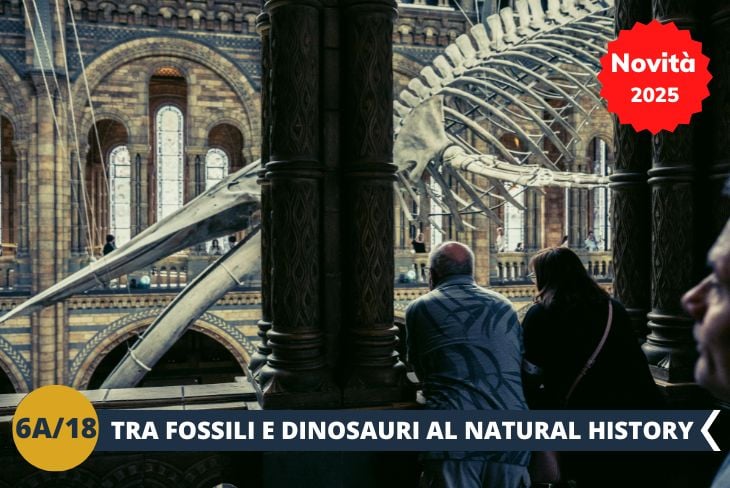 NOVITA’ 2025! ESCURSIONE DI INTERA GIORNATA: Inizieremo con il maestoso Natural History Museum, dove scopriremo le meraviglie della natura e dei dinosauri.