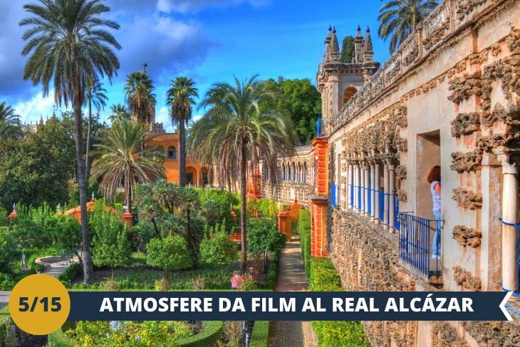 Nel pieno centro di Siviglia, circondato da possenti mura merlate, si erge l'affascinante Real Alcázar (INGRESSO INCLUSO), autentico gioiello tra i palazzi reali europei ancora in uso. Durante il tour guidato, rimarrete incantati dalle sue meraviglie: sale sfavillanti, padiglioni ricoperti d'oro e affreschi mozzafiato. Vi stupiranno la monumentale Sala dei Re, dove vi osserveranno i volti dei sovrani spagnoli, e l'elegante Patio de las Doncellas, incorniciata da preziose colonne marmoree intarsiate. I suoi incantevoli giardini, che hanno prestato il loro fascino ai Giardini d'acqua di Dorne in Game of Thrones, vi regaleranno momenti di pura magia tra fontane danzanti, aiuole fiorite e romantici specchi d'acqua. Questo capolavoro architettonico continua a raccontare, sfidando il tempo, la grandezza della civiltà islamica andalusa, faro di cultura, arte e sapere nel Mediterraneo. Il Real Alcázar è la quintessenza di Siviglia, uno scrigno di meraviglie che celebra la sua eredità multiculturale. (Escursione di mezza giornata)