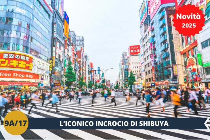 Shibuya è il quartiere che rappresenta al meglio l'energia vibrante di Tokyo. Inizieremo la nostra esplorazione con il celebre Shibuya Scramble Crossing, il più trafficato incrocio pedonale al mondo, un vero simbolo di Tokyo. Qui, tra una marea di persone, avrete l'opportunità di scattare foto incredibili e osservare la città in movimento.