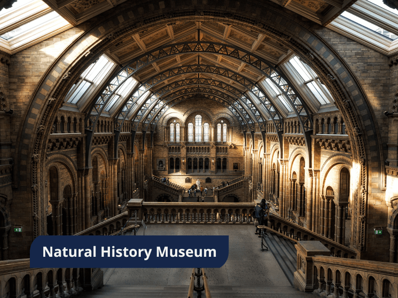 London - Natural History Museum