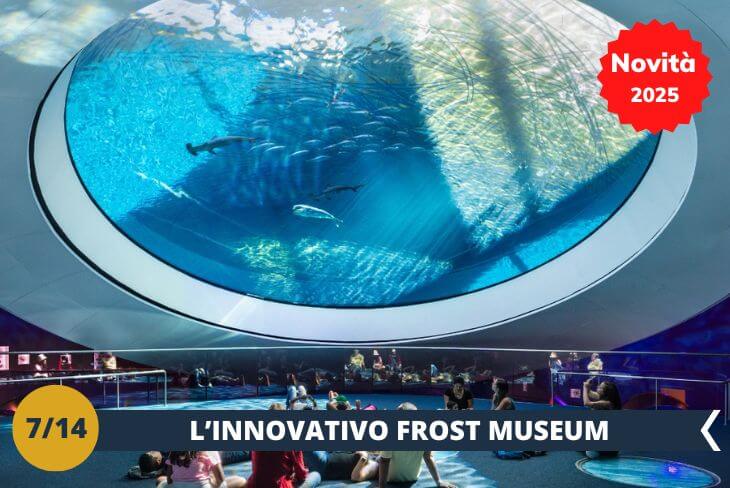 Il Frost Museum of Science (INGRESSO INCLUSO) vi attende per una giornata all'insegna della cultura e della modernità. Visiterete uno dei musei più innovativi di Miami, dove scienza, tecnologia e arte si fondono in un'esperienza unica. Potrai esplorare la vasta gamma di mostre interattive, come il suggestivo acquario da 500.000 galloni e il planetario immersivo, che ti porteranno a viaggiare tra le stelle e ad esplorare il mondo marino. Il museo offre anche esposizioni su scienza, fisica e biologia, rendendolo un luogo affascinante per tutte le età. L’escursione proseguirà in un centro commerciale per un pomeriggio di shopping e tanto divertimento. (escursione di mezza giornata)