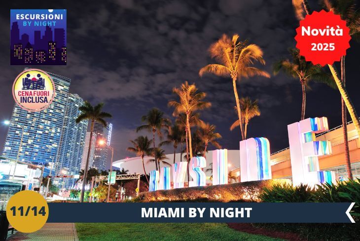 Miami by Night: Quando il sole scende dietro l'orizzonte, Bayside si veste di luci e colori, regalando uno spettacolo che solo Miami sa offrire. Passeggia lungo il lungomare e vivi l’atmosfera vivace della città, tra musica dal vivo, ristoranti e una vista mozzafiato sul mare. Un'esperienza notturna che ti farà sentire parte della magia di Miami.
Durante la serata, i ragazzi avranno a disposozione una carta prepagata e potranno scegliere tra diverse tipologie di cucina (giapponese, cinese, Mc Donald’s e tante altre) per una cena alternativa e divertente!