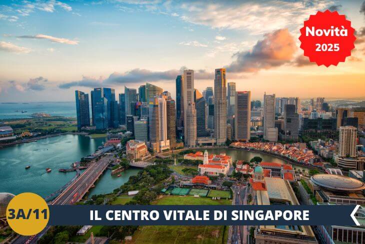 ESCURSIONE SPECIALE: Gli studenti avranno l'opportunità di esplorare Singapore prima di arrivare al campus, rendendo l'esperienza ancora più memorabile. Inizierete con un emozionante tour a piedi nel cuore della città, dove storia, cultura e architettura si fondono in perfetta armonia. Scopri i punti più significativi di Singapore, ammirando il contrasto tra il moderno skyline e le aree storiche.