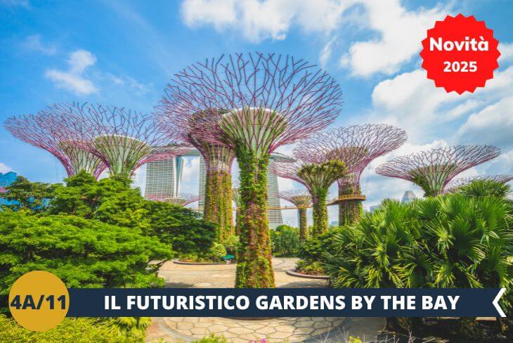 ESCURSIONE SPECIALE: Gli studenti avranno la possibilità di godersi un’escursione speciale prima del rientro in Italia. Ammirate la bellezza dei Gardens by the Bay, un giardino futuristico che ospita piante esotiche e design innovativi.